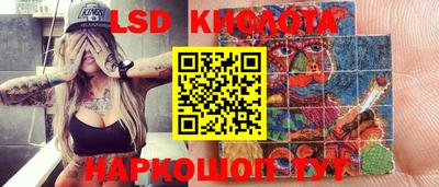 ПСИЛОЦИБИНОВЫЕ ГРИБЫ Гусев