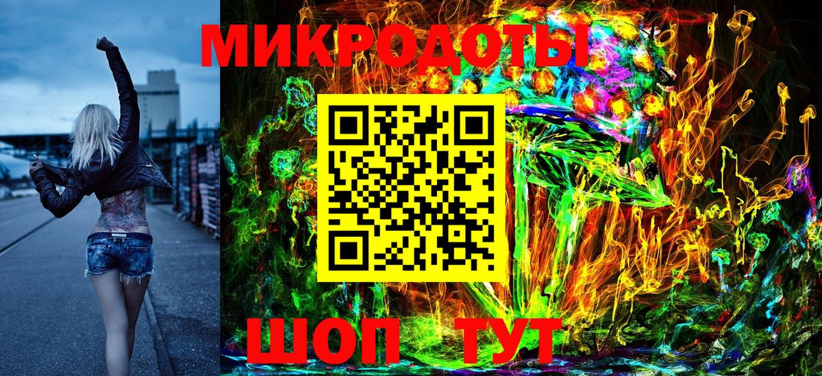Галлюциногенные грибы Psilocybe Новотроицк