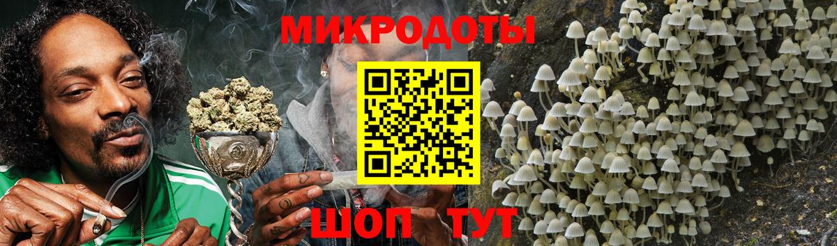 Псилоцибиновые грибы Psilocybe  Вход с VPN  Псилоцибиновые грибы прущие грибы  Новотроицк 